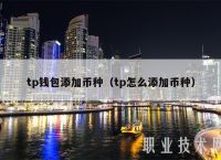关于TP钱包找不到自定义代币添加功能的信息