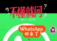 苹果手机下载whatsapp可以用吗的简单介绍