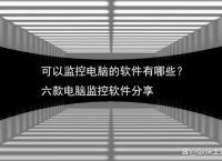 电脑梯子软件有哪些、有什么好用的电脑梯子软件