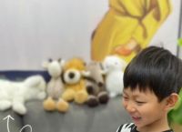 纸飞机为什么登陆不了、为什么纸飞机注册不了账号