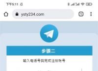 关于telegreat安卓怎么登陆进去的信息