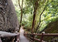 哪一款梯子去外网最好用知乎、有什么好用的梯子上外网百度贴吧