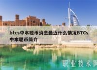 中本聪btcs怎么交易、中本聪btcs币怎么交易