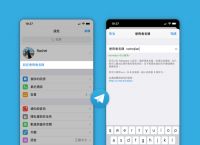 纸飞机中文语言包在哪里?的简单介绍