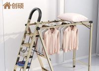 pc梯子是什么意思、2020pc端电脑梯子