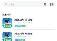ios下载pubg国际服教程、ios怎么下载pubgmobile国际服