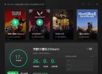 电脑上好用的vp加速器、电脑vp永久免费加速器下载