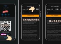 中本聪的提币地址怎么搞的简单介绍
