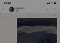 WhatsApp怎么读取文件、whatsapp文件在什么地方