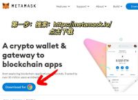 小狐狸钱包怎么解锁银行卡、小狐狸钱包怎么不能查看私钥