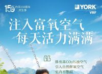黄鸭vp加速器、vp加速器下载