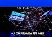 包含下载tokenpocket钱包的词条
