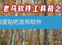 梯子软件哪个好用贴吧推荐、梯子软件推荐app 哪里有