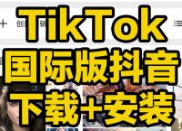 国内下载不了tiktok吗、国内为什么不能下载tiktok