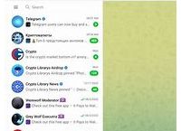 关于web.telegram.org.cn的信息