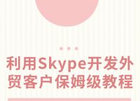 skype网页版登录不上为什么还要验证、skype网页版登录不上为什么还要验证身份