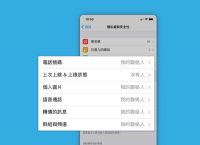苹果纸飞机设置中文版最新版、苹果纸飞机中文版怎么设置汉化