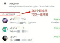 关于手机版whatsapp如何添加联系人的信息
