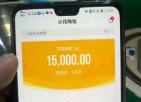 数字钱包会被下载冻结吗、数字钱包会被下载冻结吗知乎