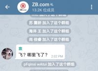 包含电报群是啥玩意的词条