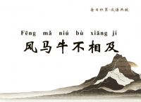 牛马也来合玄机是什么、牛马也来合玄机是猜数字