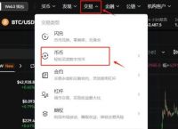 比特币中国禁止后怎么提现、国内禁止比特币交易,那手里的比特币怎么办