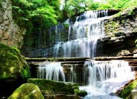 今期生肖出水边是什么、今期生肖出水边二门有玄机