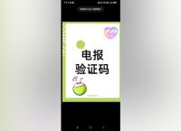 纸飞机中文可接86验证码版、telegraph官网入口下载
