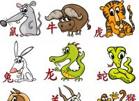 十二生肖发金光的生肖、十二生肖发金光生肖指哪个