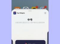 topwidgets+下载、topwidgets下载的图标怎么删除