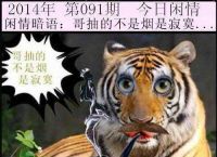 细羊足玄机猜一生肖、细羊捉玄机是什么意思