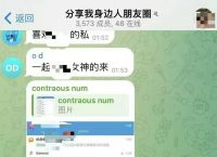 telegram读音、telegram读音及概念