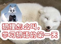 梦到狐狸、梦到狐狸说人话暗示什么