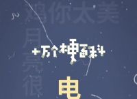 包含电报猴视频无消音地址的词条