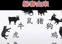 立春是特打一生肖、立春打一生肖是什么动物