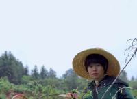 《宿舍》txl金银花下载的简单介绍