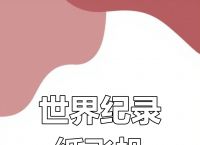 手机纸飞机下载了怎么用、手机下载纸飞机怎么改成中文