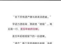 《纸飞机》小说免费阅读、落不下by纸飞机小说免费阅读