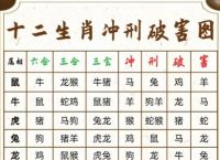 猪冲什么生肖正确答案的简单介绍