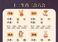 什么生肖带红花打一动物的简单介绍