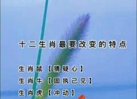 今期生肖旺东西最佳动物、今期生肖旺东西,是双又逢旺木春