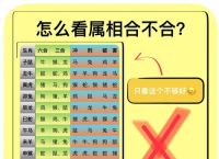 关于一九相合在今期打一准确数字的信息