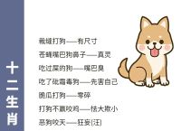 大雨过后顿轻松是什么生肖、大雨过后顿轻松打一准确生肖