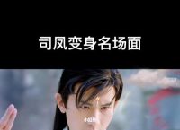 玄机和司凤玄机变成大将军、玄机什么时候知道自己喜欢司凤