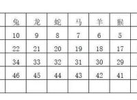 特马今期定二七猜最准确的生肖、今期生肖看二七指的是什么生肖?