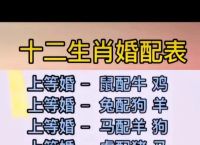 今期四九留一半猜生肖、今期四九有盼头是什么生肖