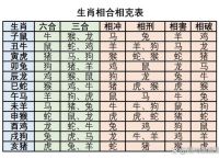千里传音打一生肖最佳答案、千里传音形容什么动物12生肖