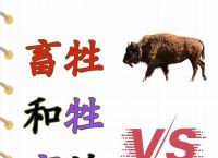 今期唯指此家禽正确答案、今期唯指此家禽,二字来头七相送是什么生肖