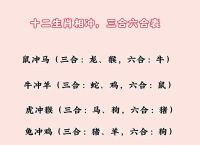 六部玄机代表什么生肖、六部玄机代表什么生肖呢