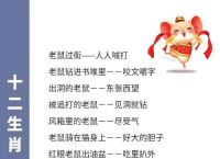 打一生肖的歇后语有哪些、生肖歇后语2020全年资料